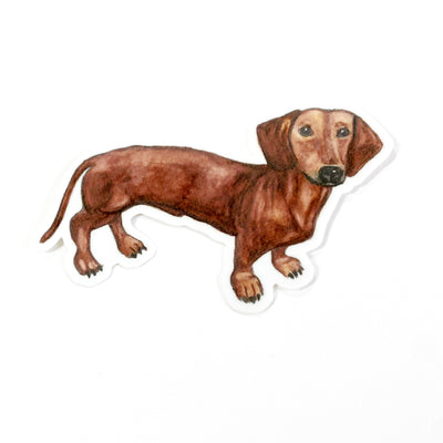 Dachshund Sticker
